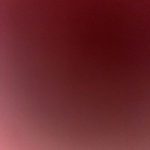 Meet your Posher, Hudson